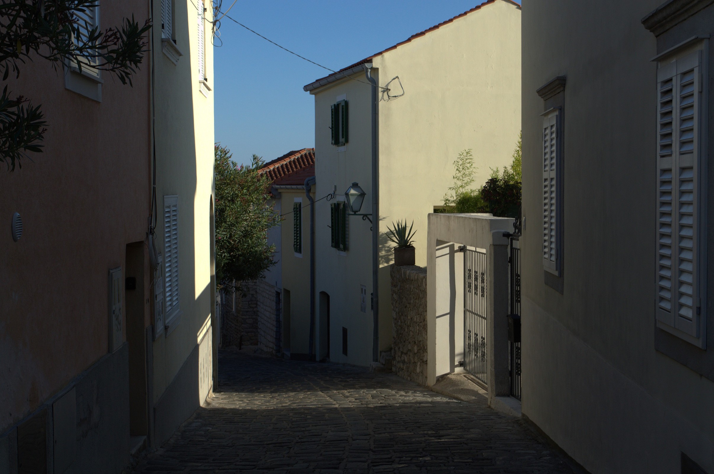 K k 137   dsc 1910   6034 x 4012